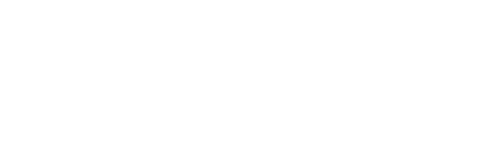 logo_light_mono_10lat_MEC